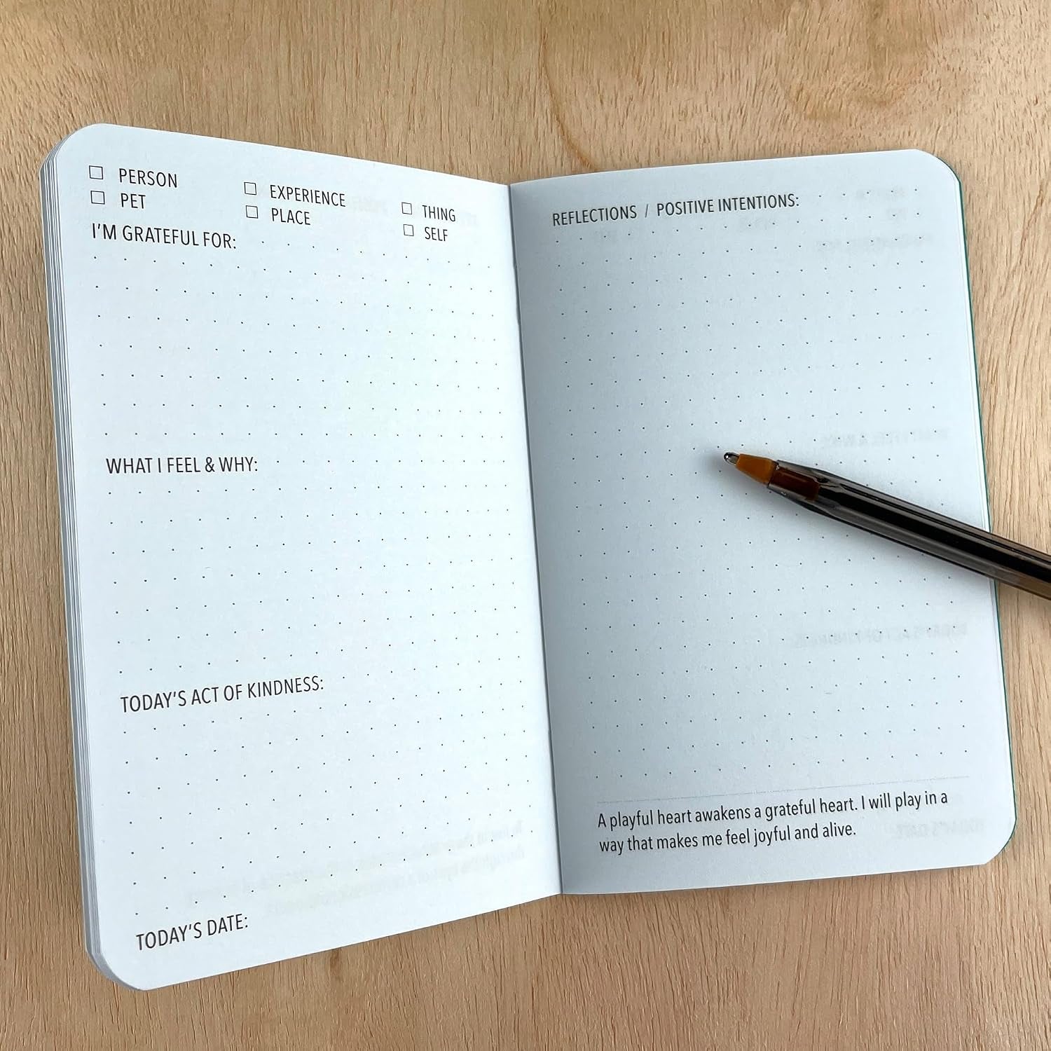 Drift Set Pocket-Sized Gratitude Journals for Stress Management and Mental Health Support (3.5" x 5.5", 36 Pages)